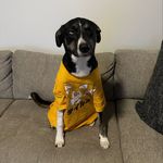 Jake Anderson - @jakeanderson2 - Instagram