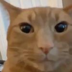 Jake Appleby - @jake.appleby164 - Instagram
