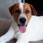 Jake  Araujo - @jake.araujo27 - Instagram