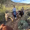 Jack Atkinson - @jack.atkinson69 - TikTok
