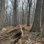 Jake Atkinson - @ridgetop_adventures - Instagram