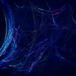 Jake Aucoin - @jke462 - Instagram