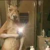 Jake Avila - @jake.avila - TikTok