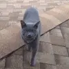 jake.baer7 - @jake.baer7 - TikTok