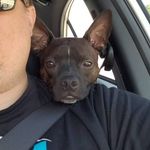 Jake Bagwell - @j.t.bagwell - Instagram