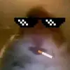 jakeballs2 - @jakeballs2 - TikTok