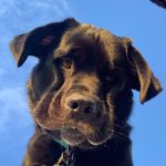 @jakebanting - Instagram