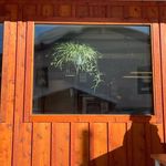 Jake Arenz - @barefootjake2 - Instagram