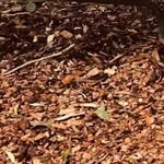 jake - @jake.barham - Instagram