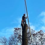 Jake Baron - @tree.baron - Instagram