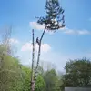 Jake Baron - @theextreemist - TikTok