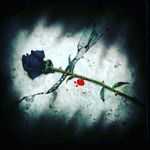 jake_il_barone - @jake_il_barone - Instagram