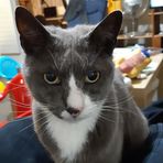 Jake Barron - Facebook