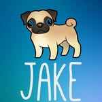 Jake Batista Aires - @pug_jake_fs - Instagram