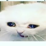 jake batten - @jake_the_profesional_retard - Instagram