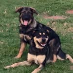Bella, Jake, & Bayle's World - @jakbelbay - Instagram