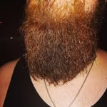 Jake's Beard - @jake_beards_beard - Instagram