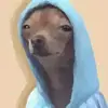Jake Behan - @jake.behan0 - TikTok