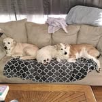 Jake Behrmann - @behrmannjake - Instagram