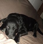 Jake Beilfuss - Facebook