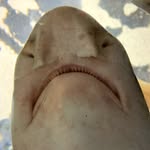 Jake - @jake.beller05 - Instagram
