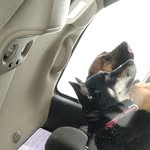 Jake Bradley Bencharski - @jakebencharski - Instagram