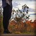 Jacob Behling - Facebook
