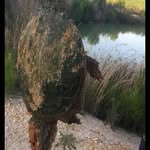 Jacob - @jake_bernett - Instagram