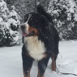 Jake - @jakebernernc - Instagram