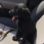 @jakebernettie - Instagram