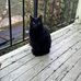Jake Bertram - Facebook
