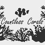 Jake Bertram - @countless_corals - Instagram