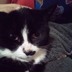 jake beveridge - @beveridge.jake - Instagram