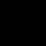 Jake Bicknell - @jakebick1 - Instagram
