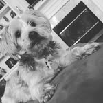Jake Biggs - @jake_biggs12 - Instagram