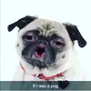 Jake Biggs - @jake_biggs_11 - TikTok