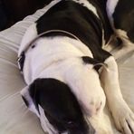 Jackie Blevins - Facebook