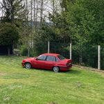 Jake Blues - @thepsychedelicwarlord - Instagram