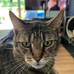Jake Blues - @_jake_blues_ - Instagram