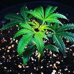 jake bobby - @jakebobby07 - Instagram