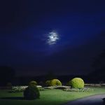 Jake Boden - @jake_boden0 - Instagram