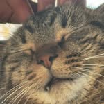 Jacob Boggs - @jakeboggs75 - Instagram