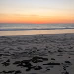 Jake.bondy - @jake.bondy_priv - Instagram