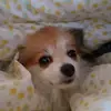 Jake Bonnell - @jake.bonnell0 - TikTok