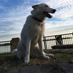 Jake Bonnell - @jake_takes.pics - Instagram