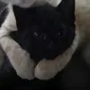jake_debono_91_32 - @jake_debono_91_32 - TikTok