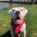 Jake Booger - @jakebooger5 - Instagram