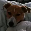 Jake - @jakebooth11223344 - TikTok