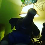 Jake boozer - @boozerjake - Instagram