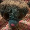 [Jake.booz] - @jake.booz - TikTok